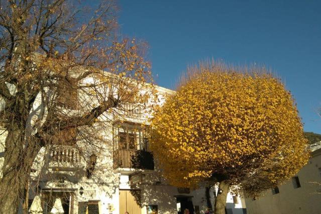 Country house Rural Cuatro Estaciones *
